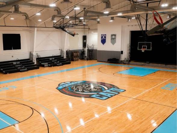 CATS home court with the lion logo at center court